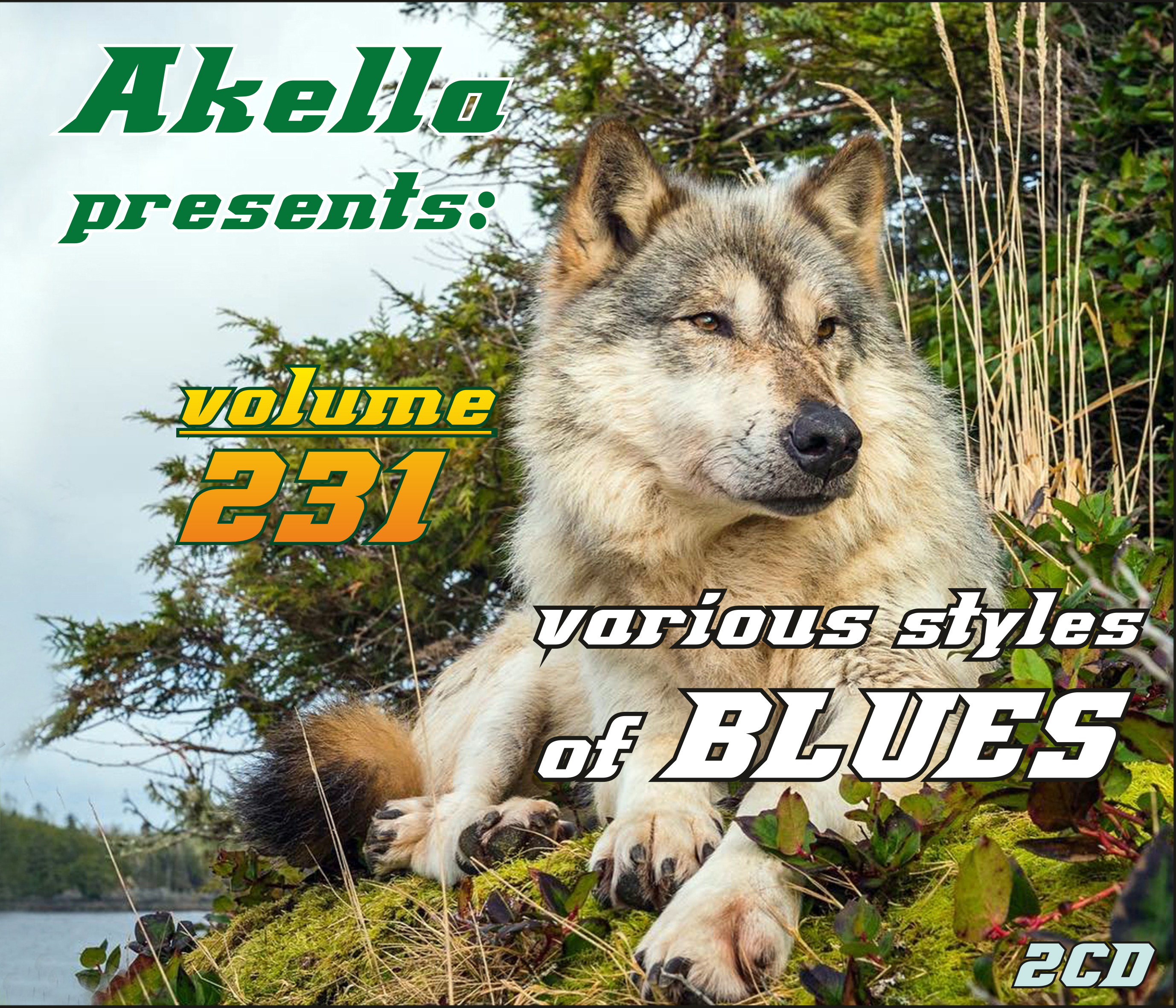 Akella Presents XII – Akella Presents Blues Super Grand Project